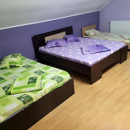 Pensiunea Ilarie Ocnele Mari Zewnętrze zdjęcie